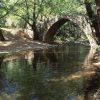 AUTHENTIC CYPRUS