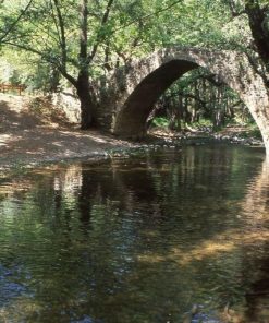 AUTHENTIC CYPRUS
